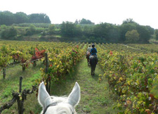 Italy-Tuscany-Arts & Riding Holiday in Tuscany